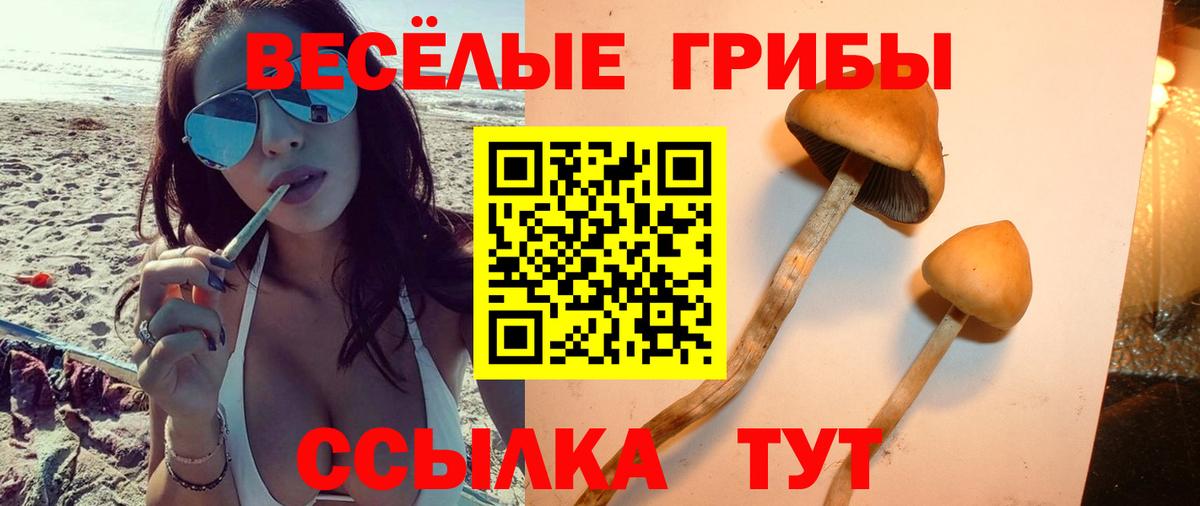 Барнаул  Галлюциногенные грибы мухоморы  Вход с VPN 