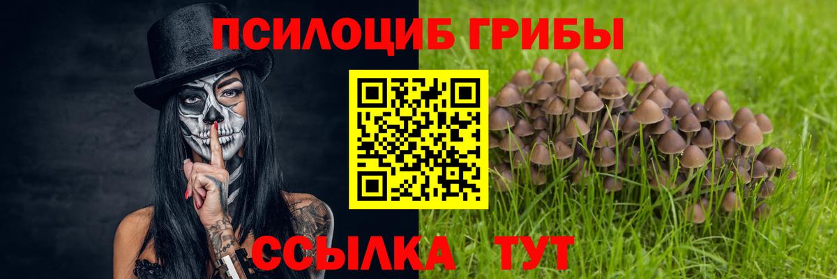 Псилоцибиновые грибы мицелий Барнаул